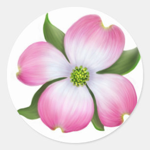Sticker Rond Fleur de Dogwood rose