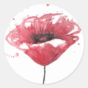 Sticker Rond Fleur de pavot, aquarelle
