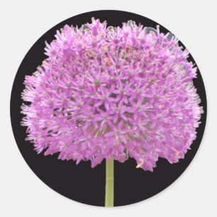 Sticker Rond Fleur de printemps d'été Illium - Conception irlan