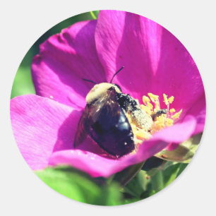 Sticker Rond Fleur des abeilles à double usage