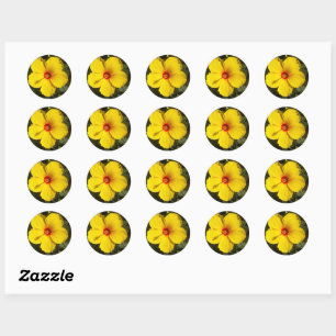 Sticker Rond Fleur d'Hibiscus jaune