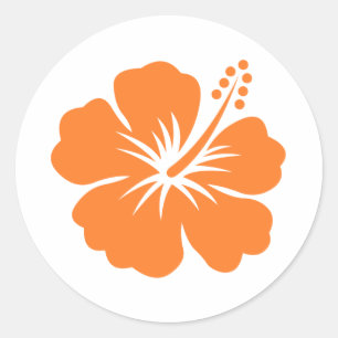 Sticker Rond Fleur d'hibiscus orange
