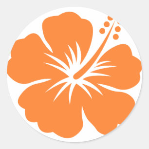 Sticker Rond Fleur d'hibiscus orange