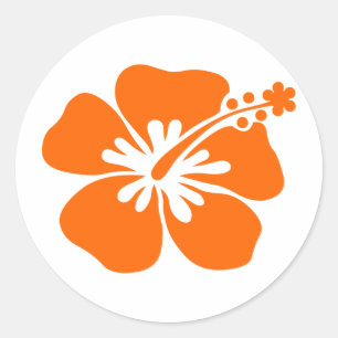 Sticker Rond Fleur d'hibiscus orange