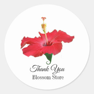 Sticker Rond Fleur d'Hibiscus rouge tropical