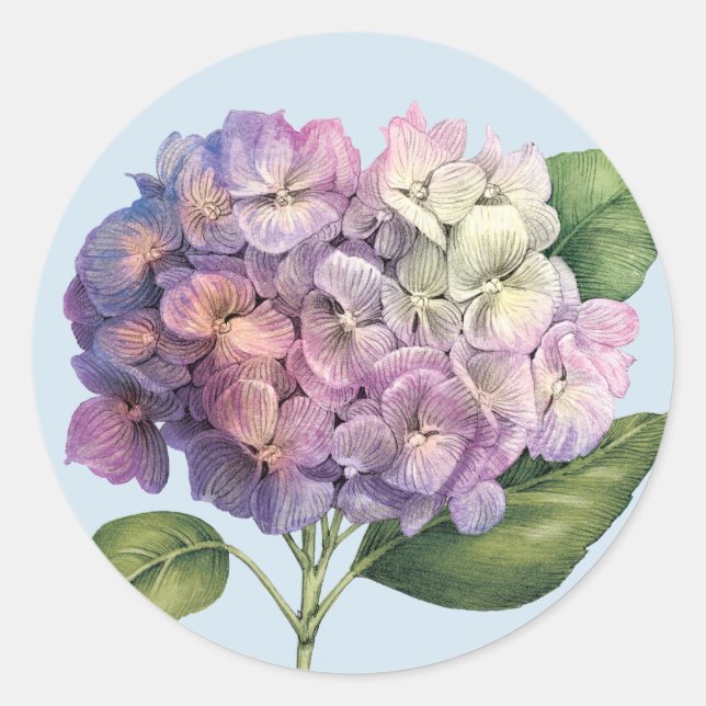 Sticker Rond Fleur d'hortensia (Devant)