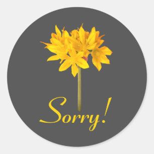 Sticker Rond Fleur jaune Désolé