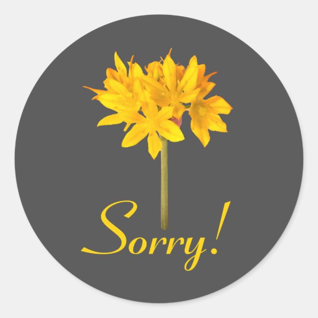 Sticker Rond Fleur jaune Désolé (Devant)