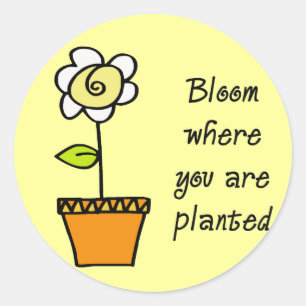 Sticker Rond Fleur où vous êtes plantés II