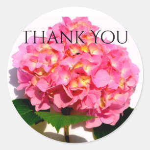 Sticker Rond Fleur rose rose rose Hydrangea