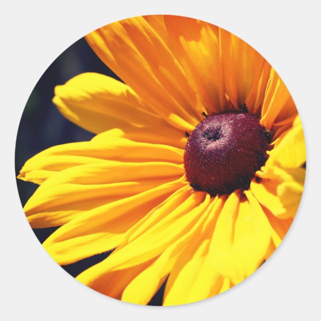 Sticker Rond Fleur Susan aux yeux noirs (Devant)