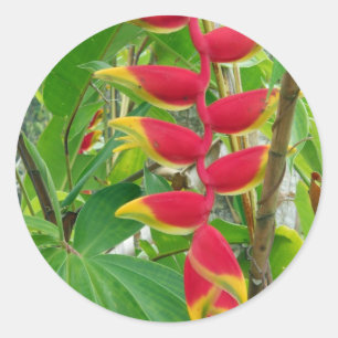 Sticker Rond Fleur tropicale