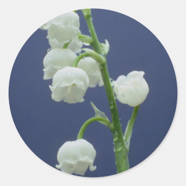 Sticker Rond Fleurs 110 (Devant)