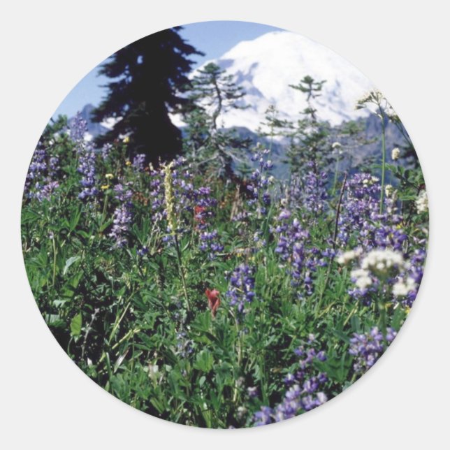 Sticker Rond Fleurs 139 (Devant)