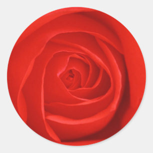 Sticker Rond Fleurs 55