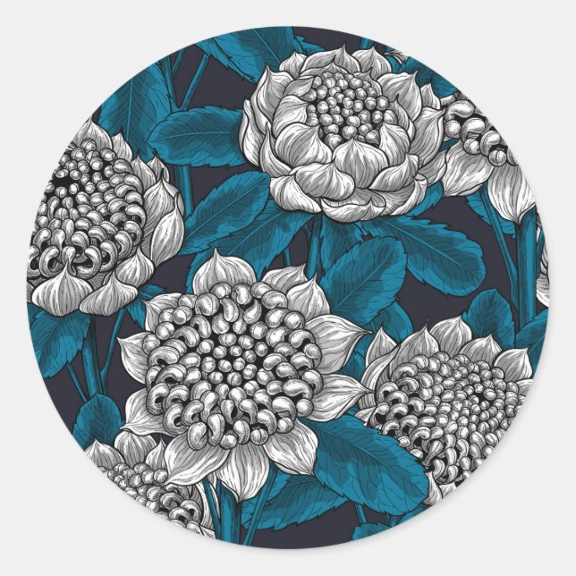 Sticker Rond Fleurs blanches de waratah (Devant)