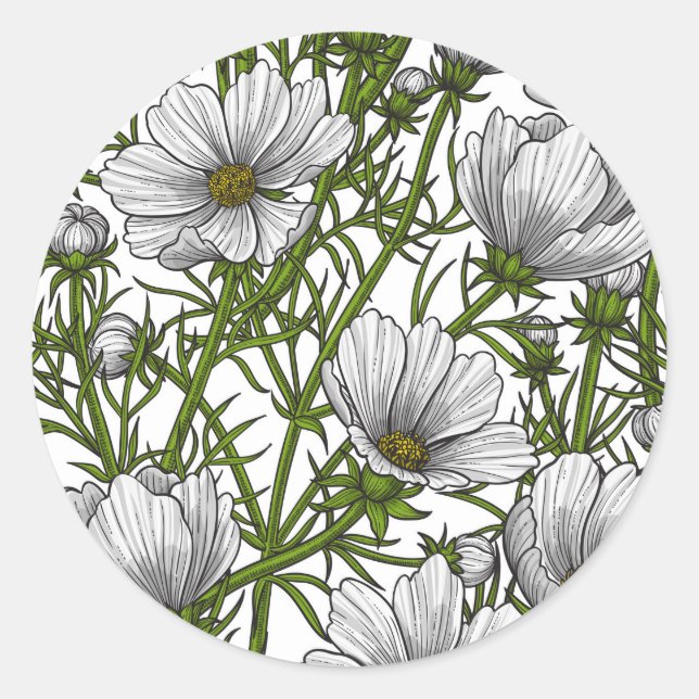 Sticker Rond Fleurs cosmos blanches (Devant)