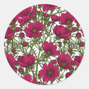 Sticker Rond Fleurs Cosmos roses