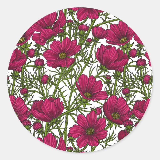 Sticker Rond Fleurs Cosmos roses (Devant)
