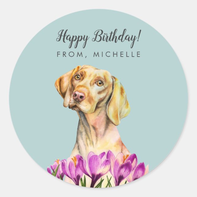Sticker Rond Fleurs de Chien Vizsla | Joyeux anniversaire (Devant)