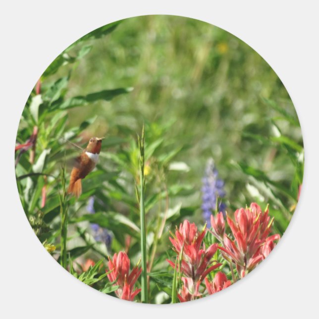 Sticker Rond Fleurs de colibri (Devant)