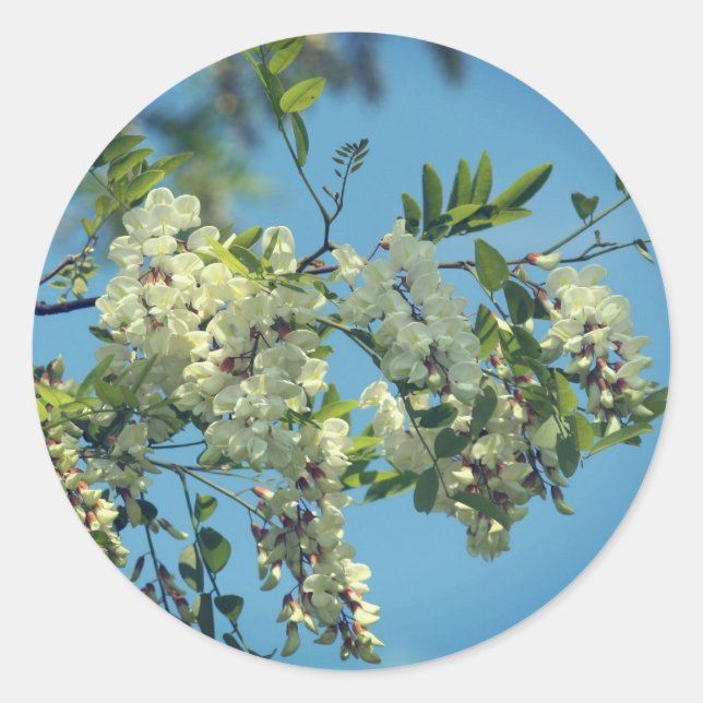Sticker Rond Fleurs de criquets (Devant)