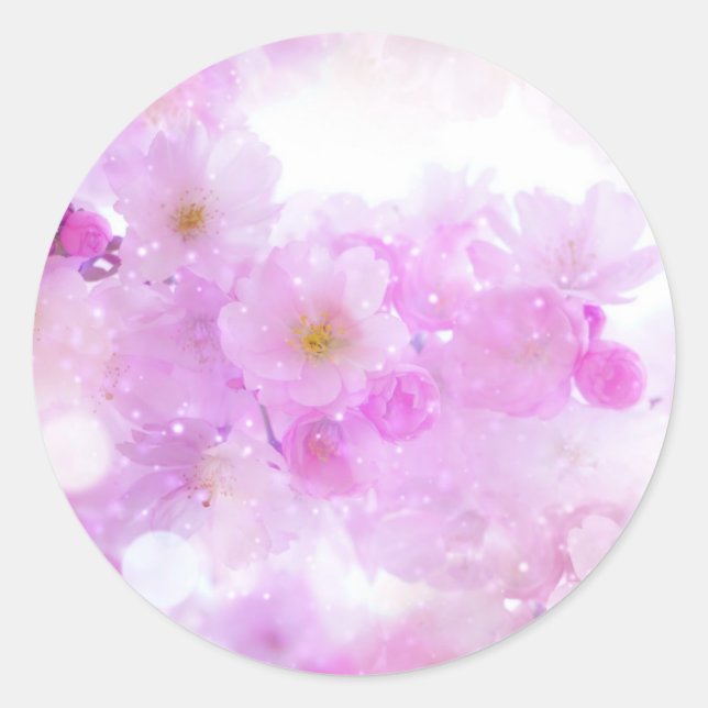 Sticker Rond Fleurs de fleurs de cerisier rose (Devant)