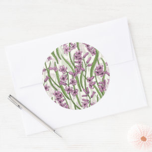 Sticker Rond Fleurs de Hyacinth rose sur blanc naturel