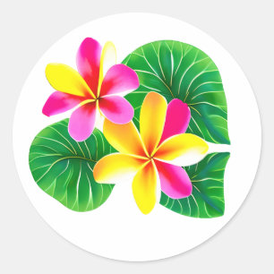 Sticker Rond Fleurs de la Plumeria tropicale