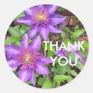 Sticker Rond Fleurs de pourpre de Merci