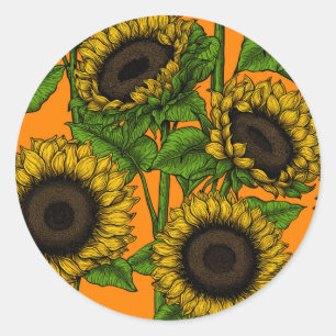 Sticker Rond Fleurs de soleil