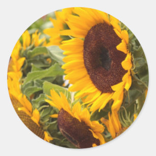 Sticker Rond Fleurs de soleil