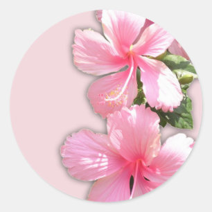 Sticker Rond Fleurs d'Hibiscus Hawaïens rose brillant