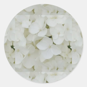 Sticker Rond Fleurs d'Hydrangée Floral Blanc Élégant Fleur
