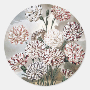 Sticker Rond Fleurs d'œillet panachées vintage avec ciel gris
