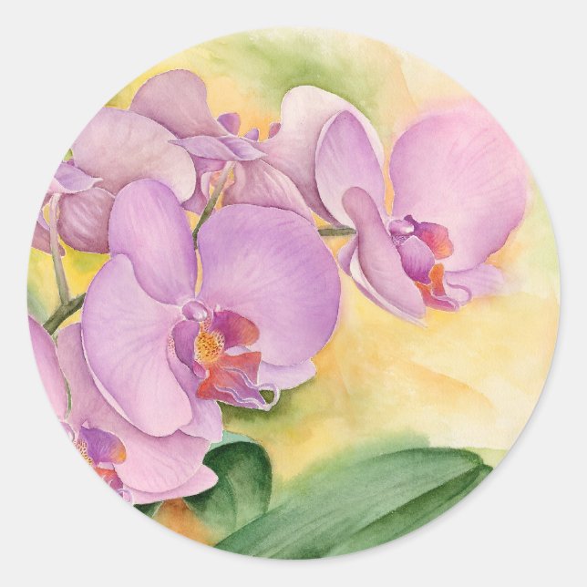 Sticker Rond Fleurs d'orchidées Phalaenopsis - Multi (Devant)
