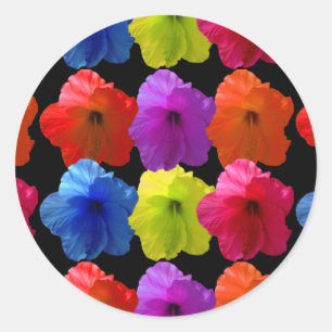 Sticker Rond Fleurs Hibiscus multicolores