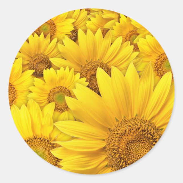 Sticker Rond Fleurs jaunes (Devant)