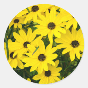 Sticker Rond Fleurs Jaunes Lumineuses