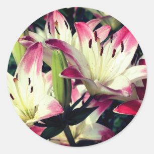 Sticker Rond Fleurs Lily souriantes