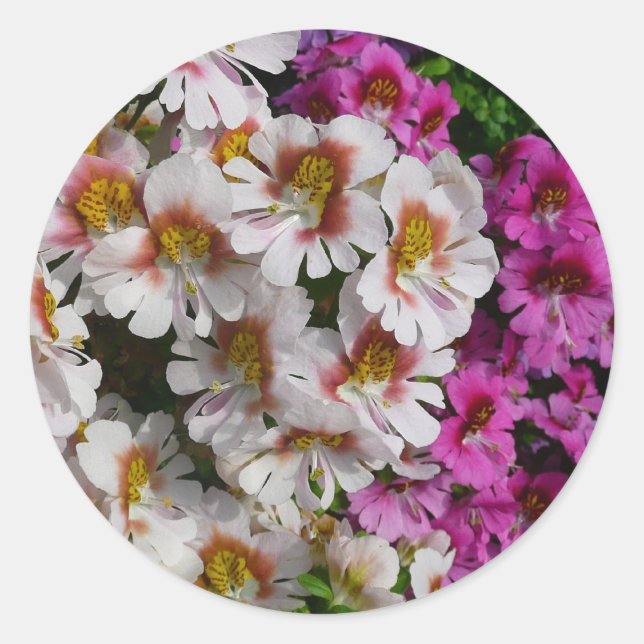 Sticker Rond Fleurs papillon rose blanc et violet (Devant)