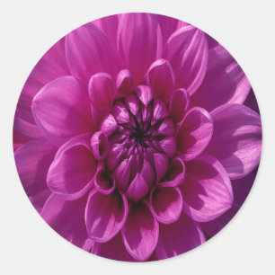 Sticker Rond Fleurs Romantiques Roses