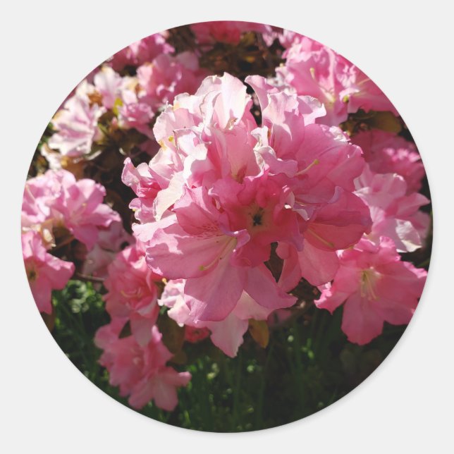 Sticker Rond Fleurs roses (Devant)