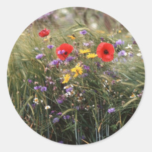 Sticker Rond Fleurs sauvages