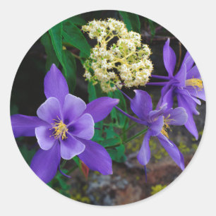 Sticker Rond Fleurs sauvages de Columbine