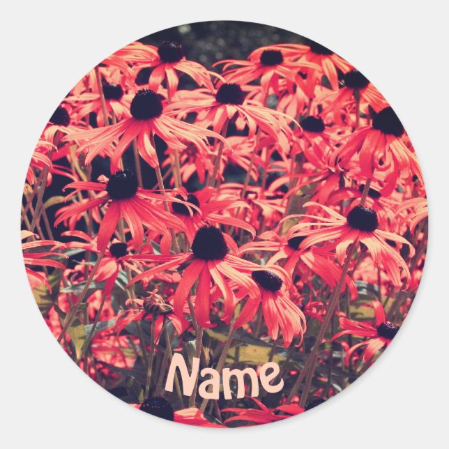 Sticker Rond Fleurs Susan aux yeux noirs roses personnalisées (Devant)