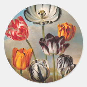 Sticker Rond Fleurs vintages de tulipes variées dans un paysage