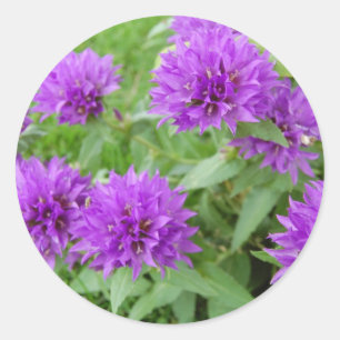 Sticker Rond fleurs violettes