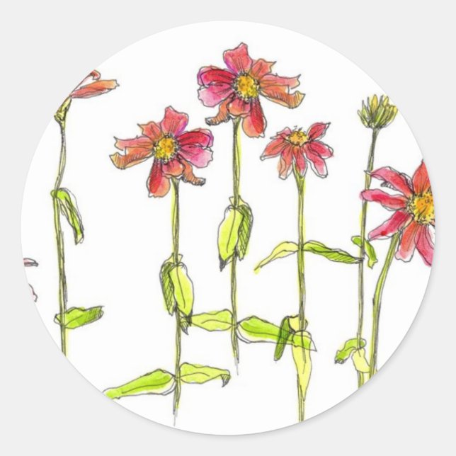 Sticker Rond Fleurs Zinnia Rouge Aquarelle Art Floral (Devant)