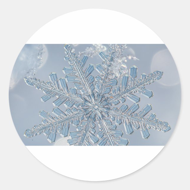 Sticker Rond Flocon de neige microscopique (Devant)